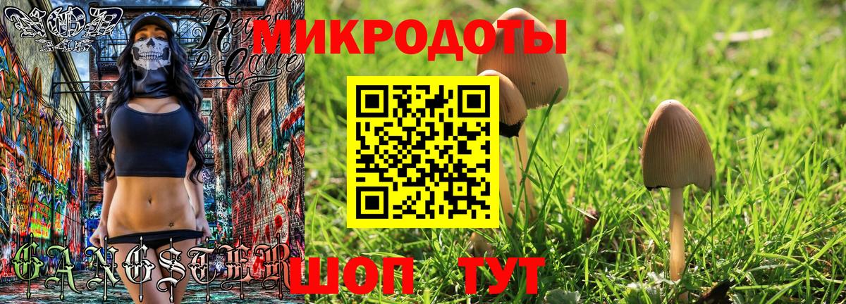 Галлюциногенные грибы Psilocybine cubensis Верхняя Пышма
