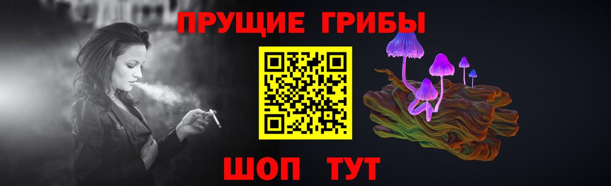 Верхняя Пышма  Галлюциногенные грибы MAGIC MUSHROOMS  Вход с VPN 